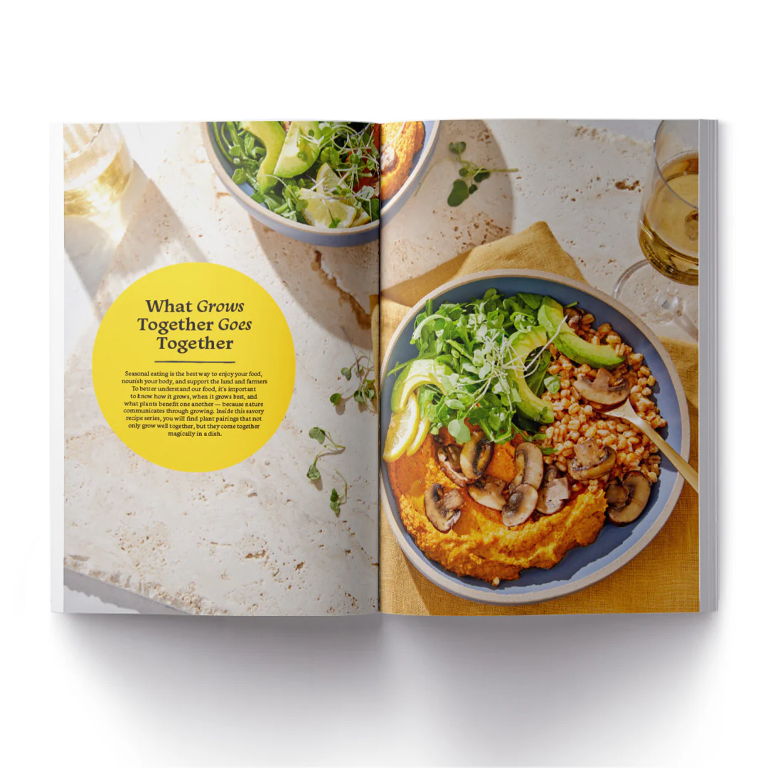 Live Purely Magazine - Image 4