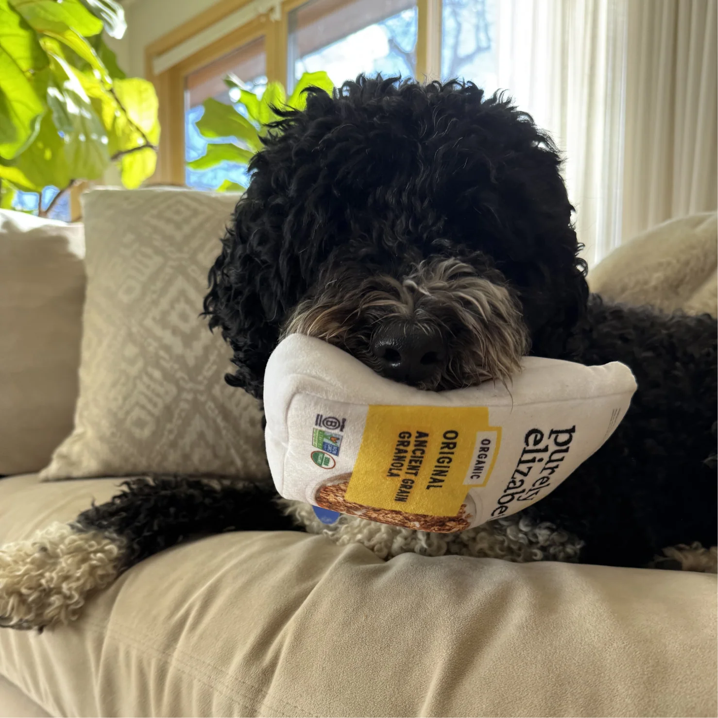Purely Elizabeth Dog Toy - Image 4